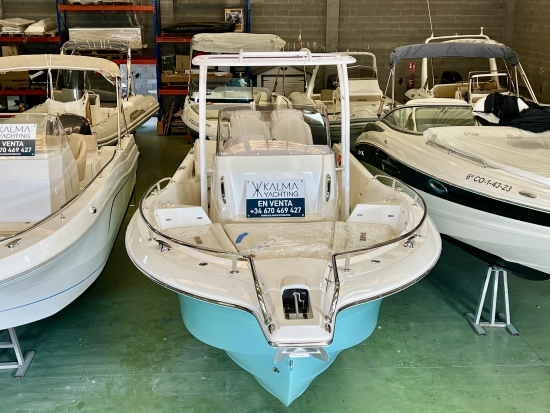 White Shark 280 CC nuevo en venta