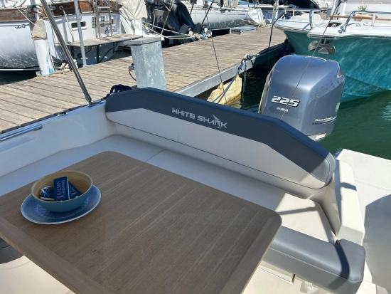White Shark 240 Sport Cabin novos à venda