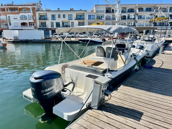 White Shark 240 Sport Cabin novos à venda
