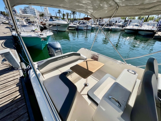 White Shark 240 Sport Cabin novos à venda