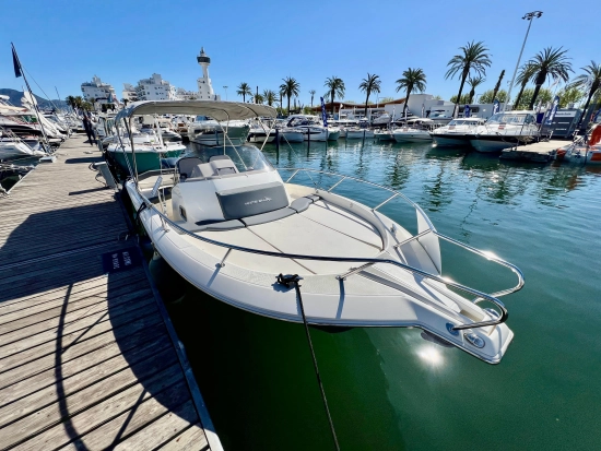 White Shark 240 Sport Cabin novos à venda