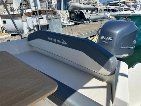 White Shark 240 Sport Cabin novos à venda