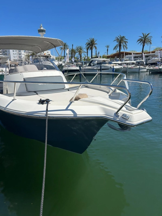 White Shark 240 Sport Cabin novos à venda