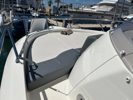 White Shark 240 Sport Cabin novos à venda
