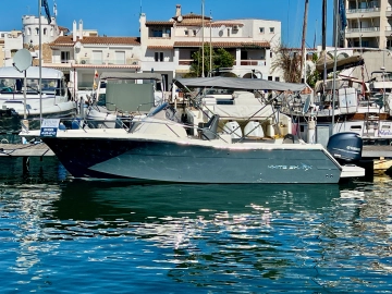 White Shark 240 Sport Cabin novos à venda