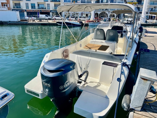 White Shark 240 Sport Cabin novos à venda