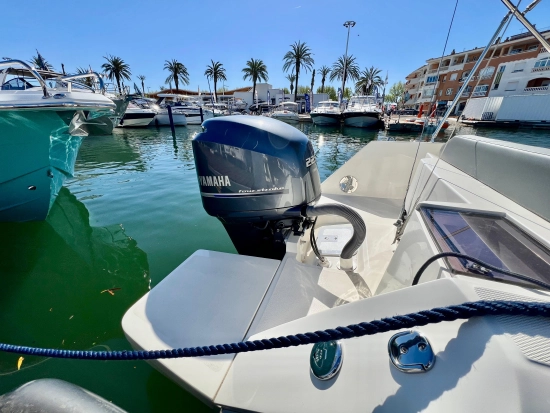 White Shark 240 Sport Cabin novos à venda