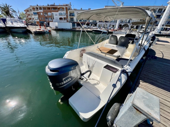 White Shark 240 Sport Cabin novos à venda