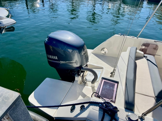 White Shark 240 Sport Cabin novos à venda