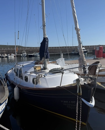 Myabca Delfin 28 usata in vendita