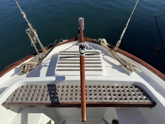 Myabca Delfin 28 usata in vendita