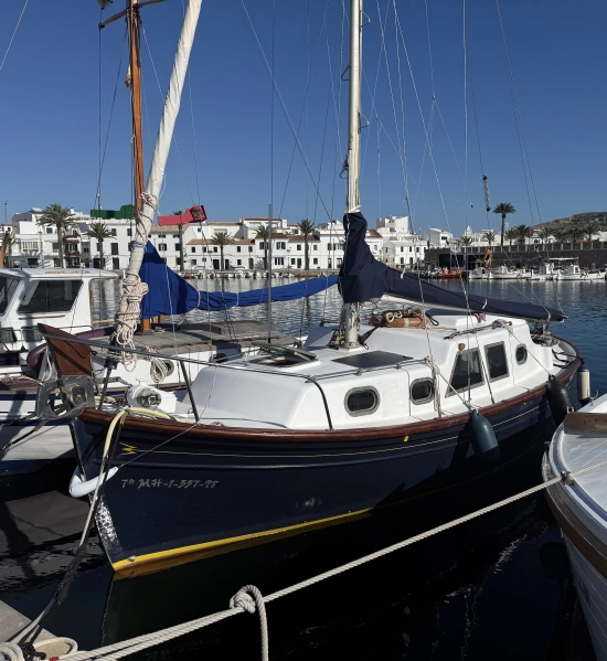 Myabca Delfin 28 usata in vendita