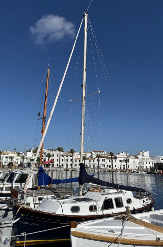 Myabca Delfin 28 usata in vendita