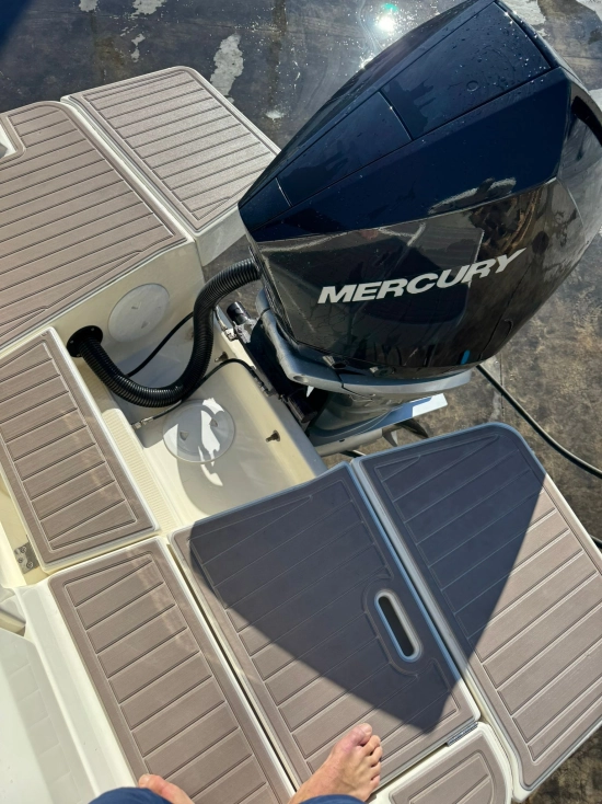 Quicksilver Sundeck Activ 755 motor 250cv usado à venda