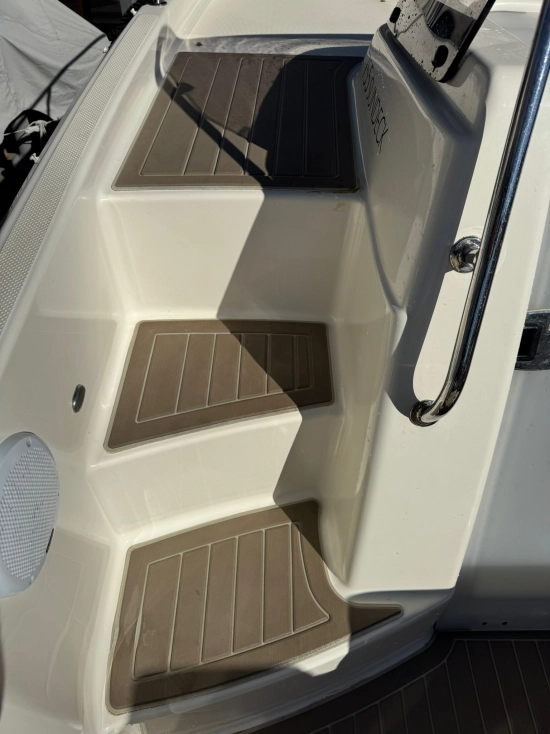Quicksilver Sundeck Activ 755 motor 250cv usado à venda