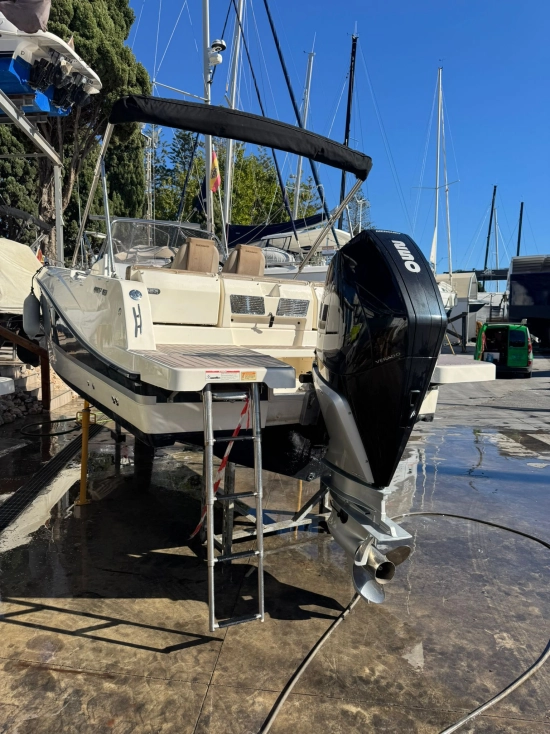 Quicksilver Sundeck Activ 755 motor 250cv usado à venda