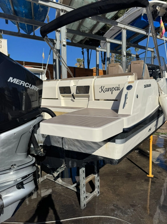 Quicksilver Sundeck Activ 755 motor 250cv usado à venda