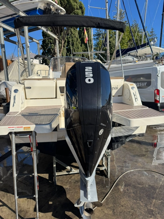 Quicksilver Sundeck Activ 755 motor 250cv usado à venda