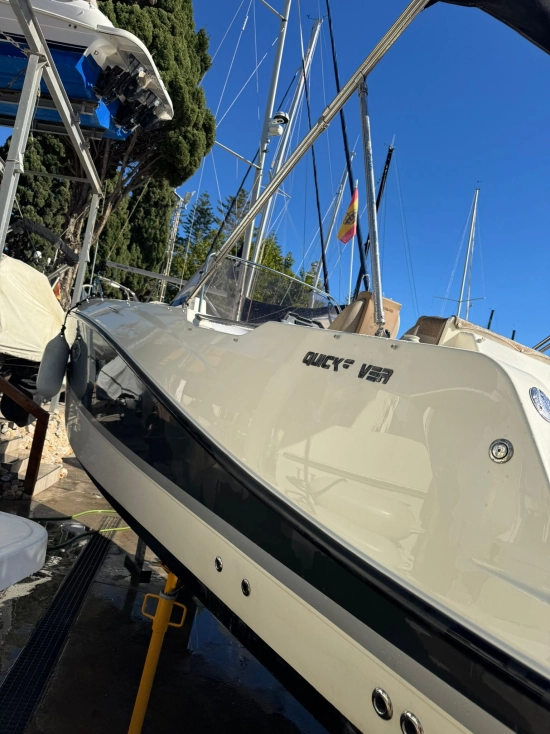 Quicksilver Sundeck Activ 755 motor 250cv usado à venda