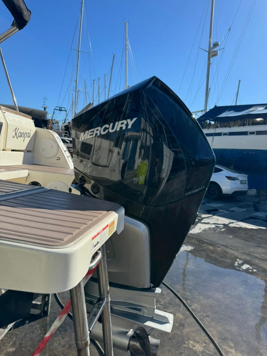 Quicksilver Sundeck Activ 755 motor 250cv usado à venda