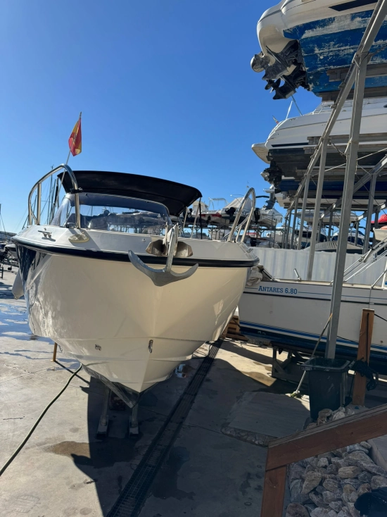 Quicksilver Sundeck Activ 755 motor 250cv usado à venda