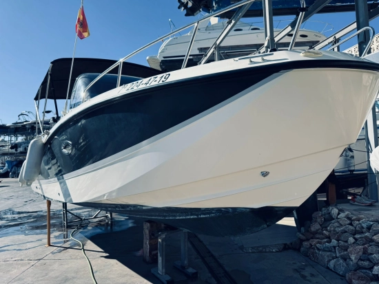 Quicksilver Sundeck Activ 755 motor 250cv usado à venda