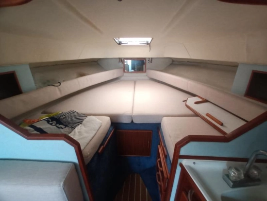 Sea Ray 270 DA usado à venda
