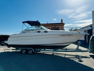 Sea Ray Sundancer 270 usata in vendita