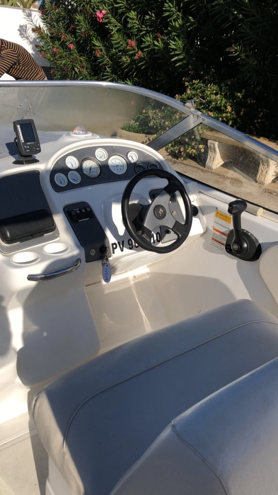 Chris Craft CROWNE 25 usado à venda