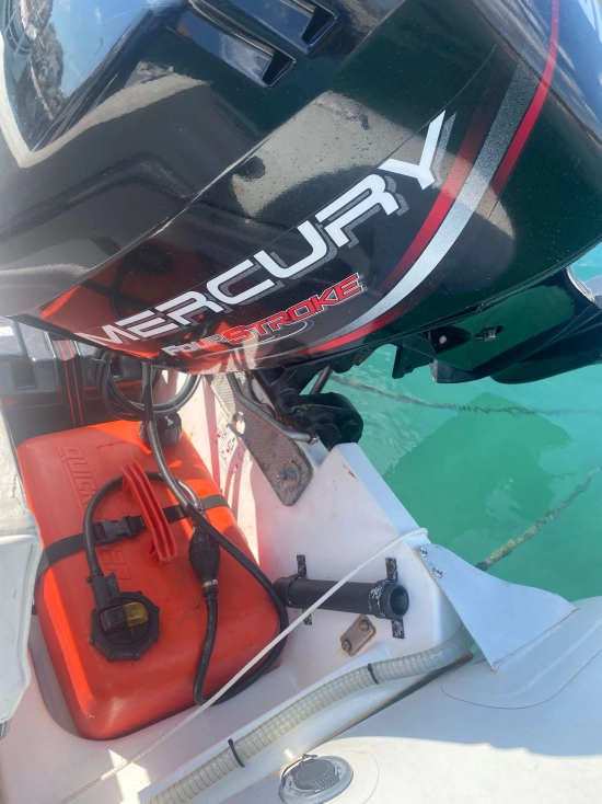 Zodiac CHEROKEE 480 de segunda mano en venta