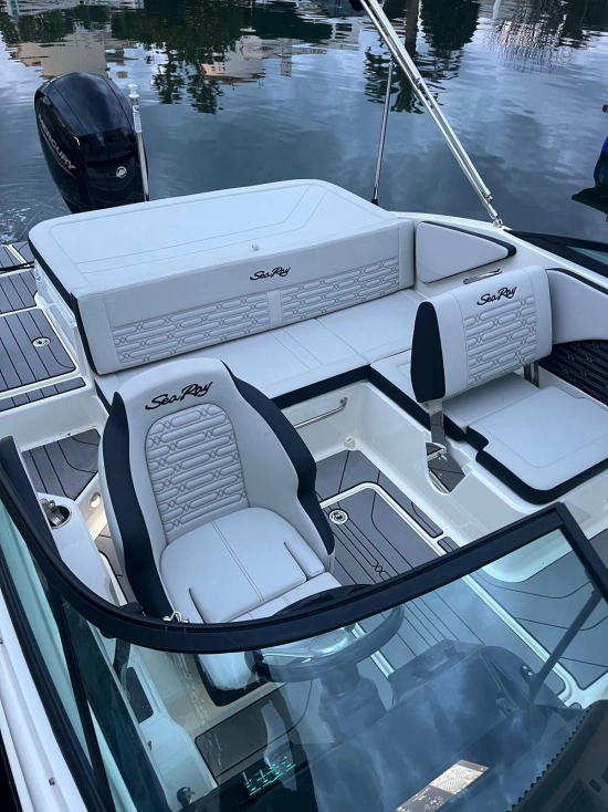Sea Ray 190 OB usado à venda
