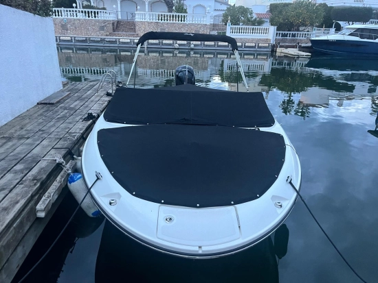 Sea Ray 190 OB usado à venda