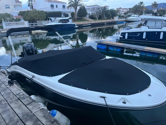 Sea Ray 190 OB usado à venda