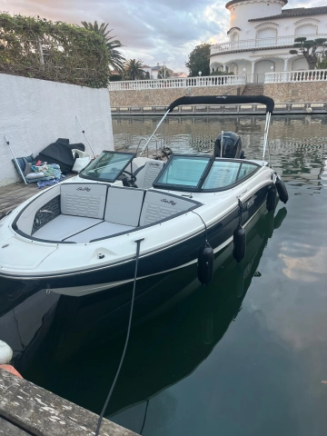 Sea Ray 190 OB de segunda mano en venta