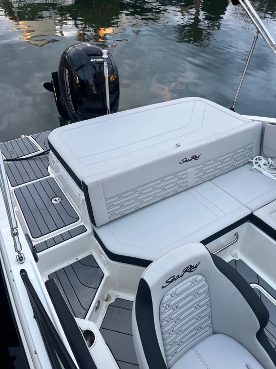 Sea Ray 190 OB usado à venda