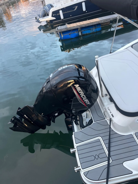 Sea Ray 190 OB usado à venda