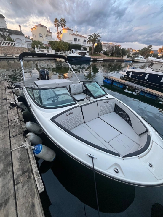 Sea Ray 190 OB usado à venda