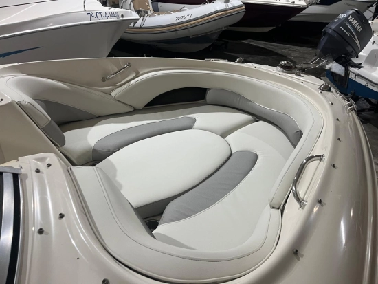 Sea Ray 220 Select usata in vendita