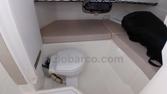Sea Ray SDX 250 novos à venda