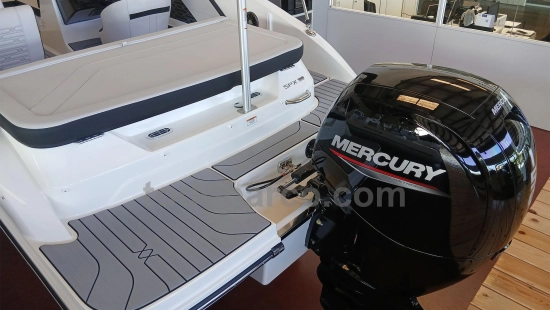 Sea Ray SPX 190 OB usata in vendita