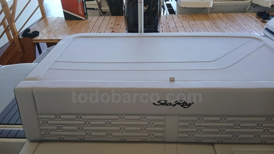 Sea Ray SPX 190 OB usata in vendita