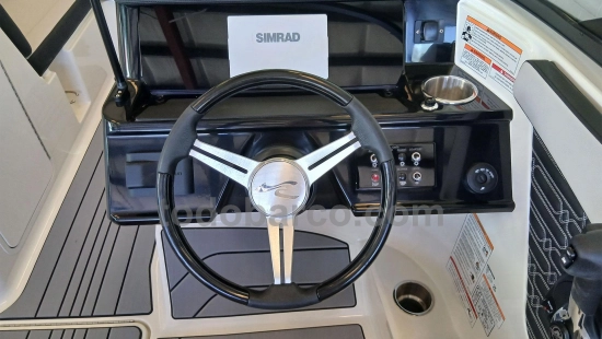Sea Ray SPX 190 OB usata in vendita