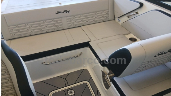 Sea Ray SPX 190 OB usata in vendita