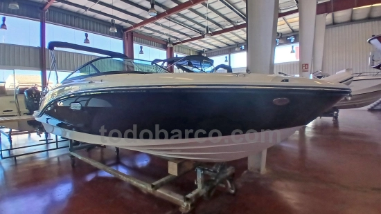 Sea Ray SPX 190 OB usata in vendita
