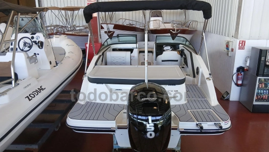 Sea Ray SPX 190 OB usata in vendita