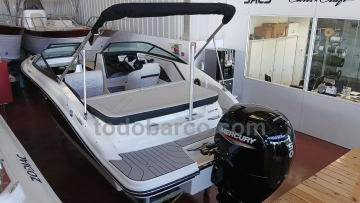 Sea Ray SPX 190 OB usado à venda