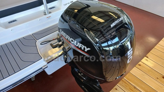 Sea Ray SPX 190 OB usata in vendita