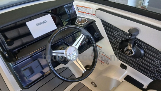 Sea Ray SPX 190 OB usata in vendita
