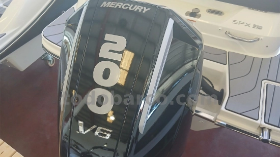 Sea Ray SPX 210 OB nuevo en venta