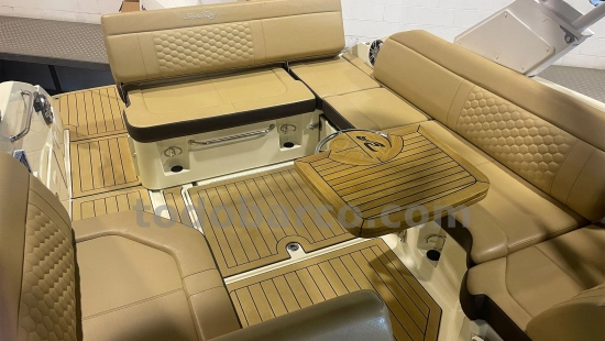 Sea Ray SDX 250 OB de segunda mano en venta
